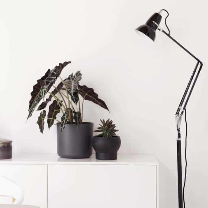 original-1227-floor-lamp-jet-black_4924.LS.SQ.W.S1.UK.1