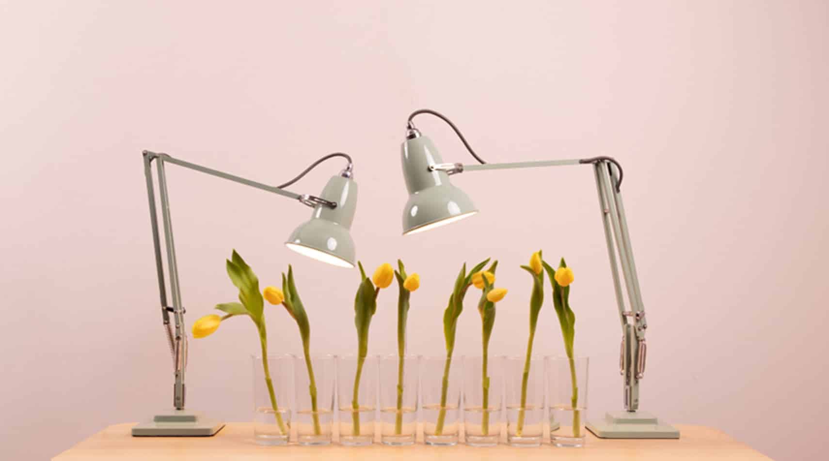 master-banner-promo-spring