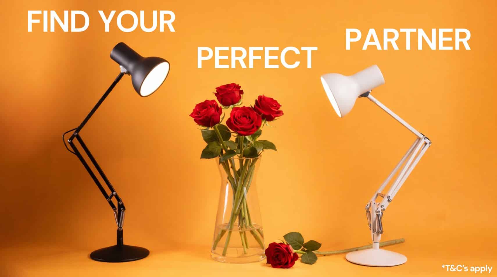 Main Web banner valentines promo